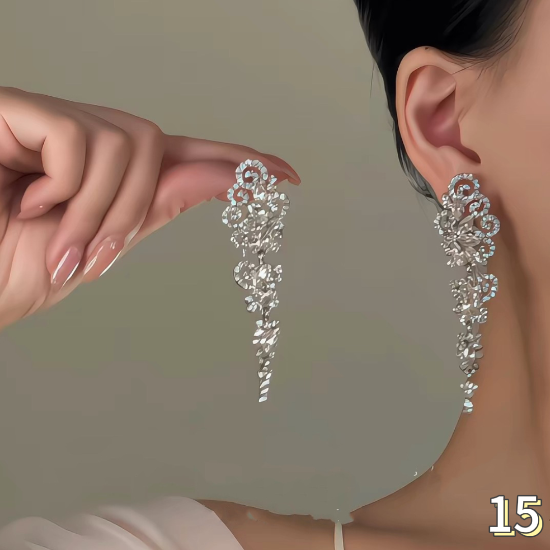Exquisite Earrings