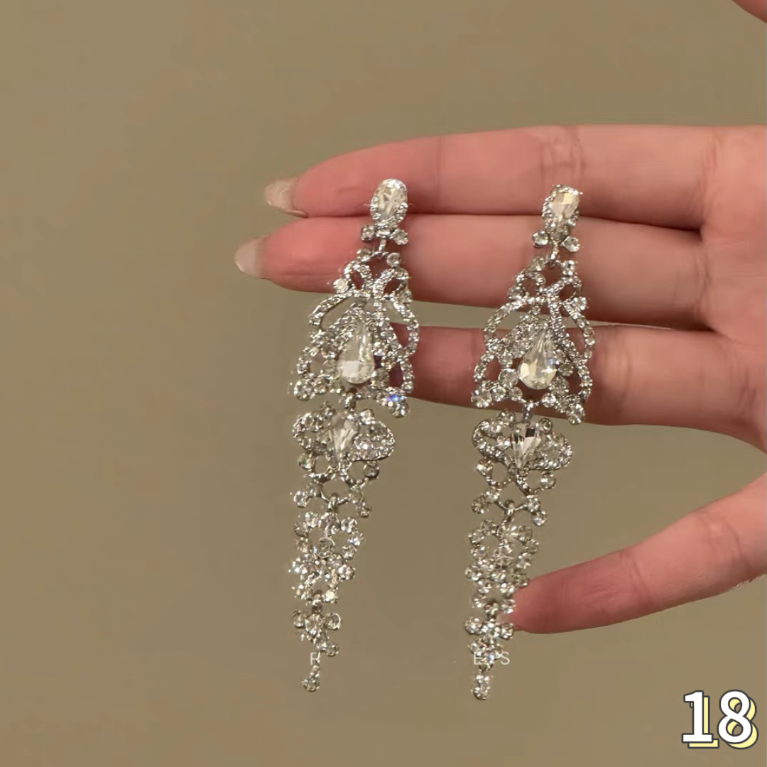 Exquisite Earrings