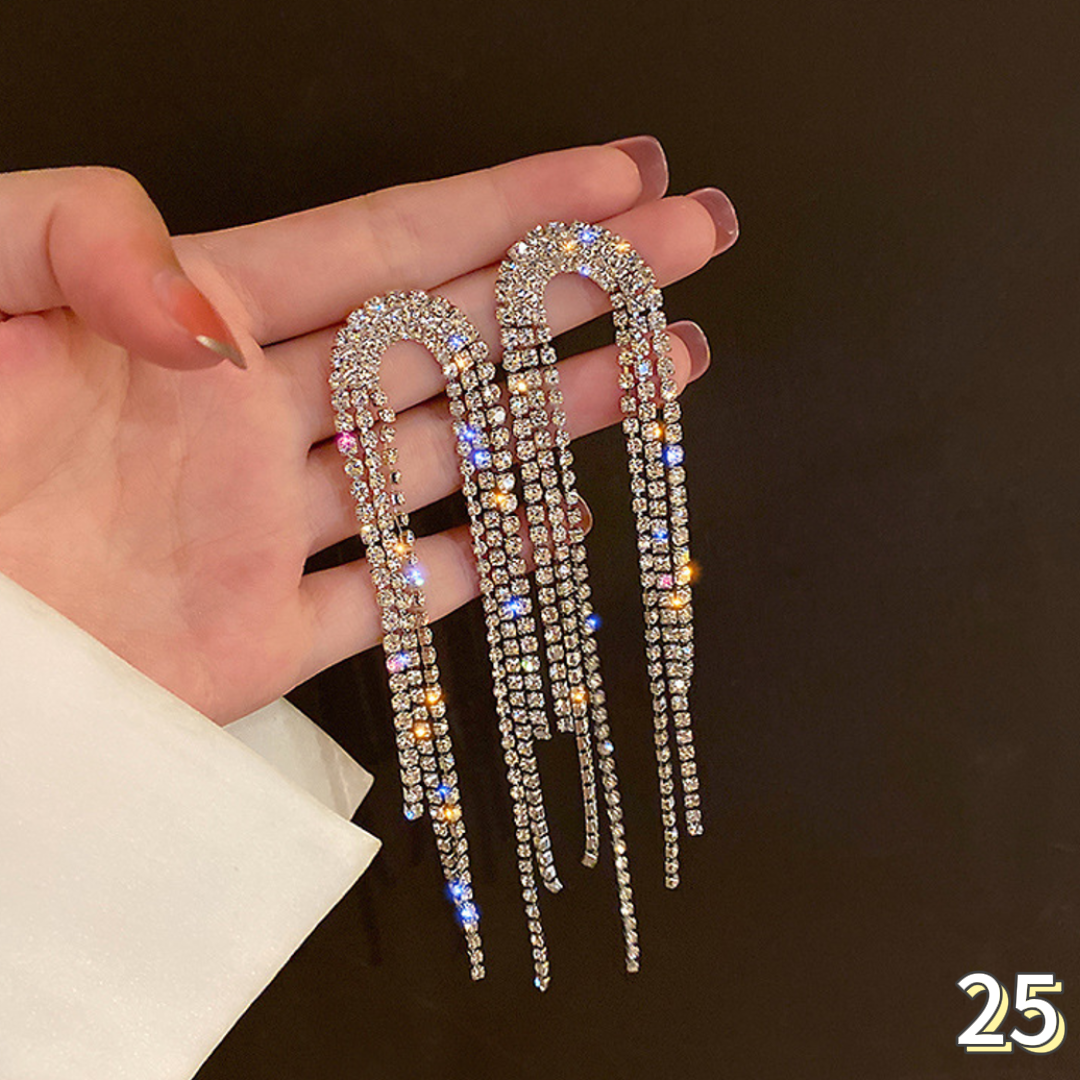 Exquisite Earrings