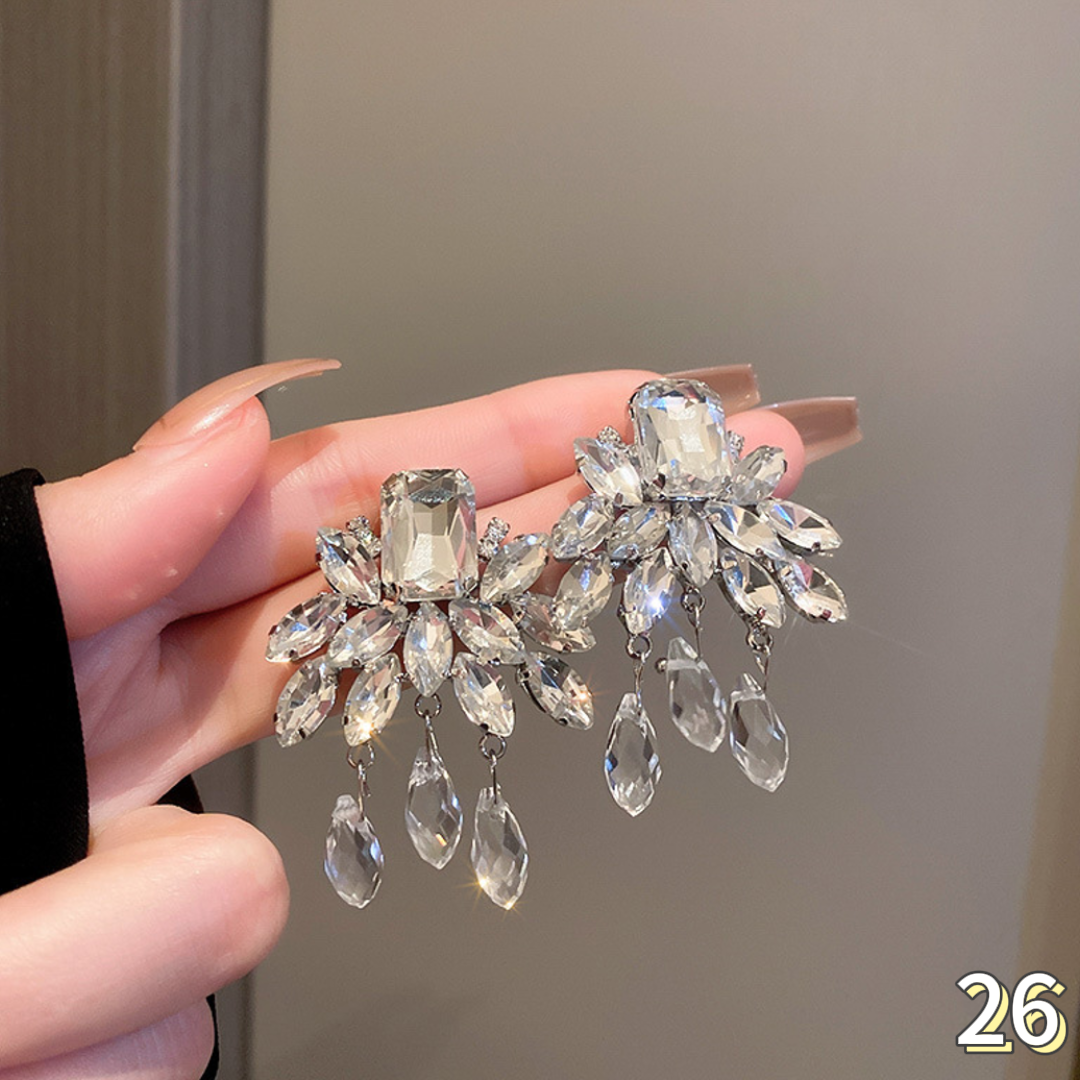 Exquisite Earrings