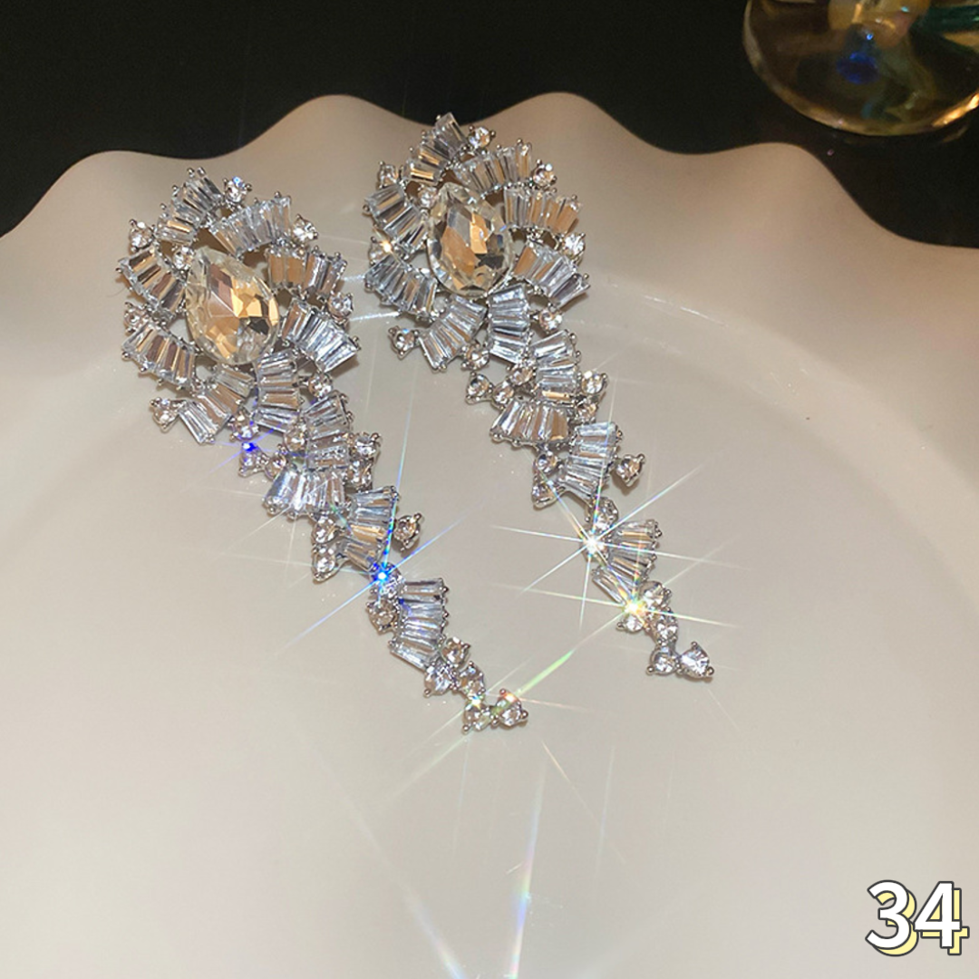 Exquisite Earrings