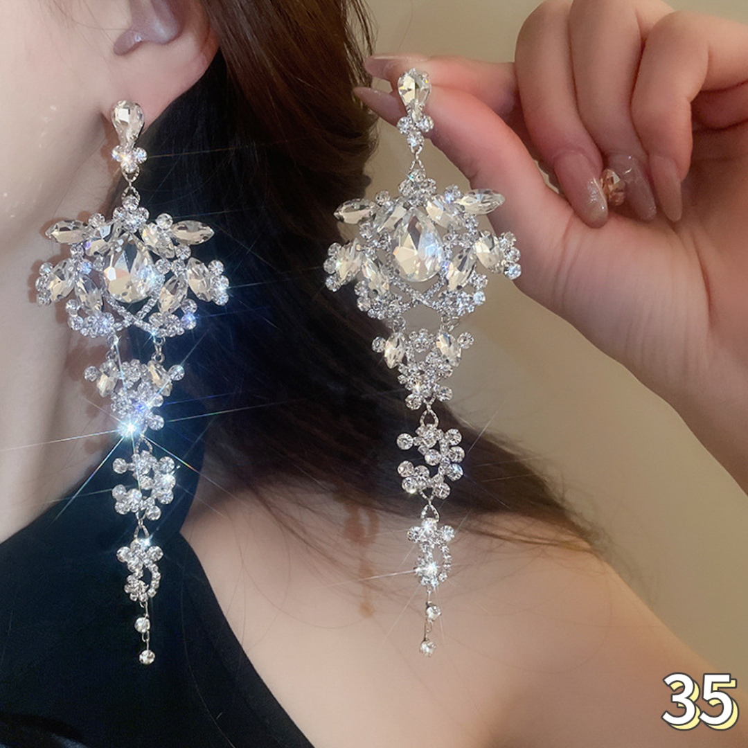 Exquisite Earrings