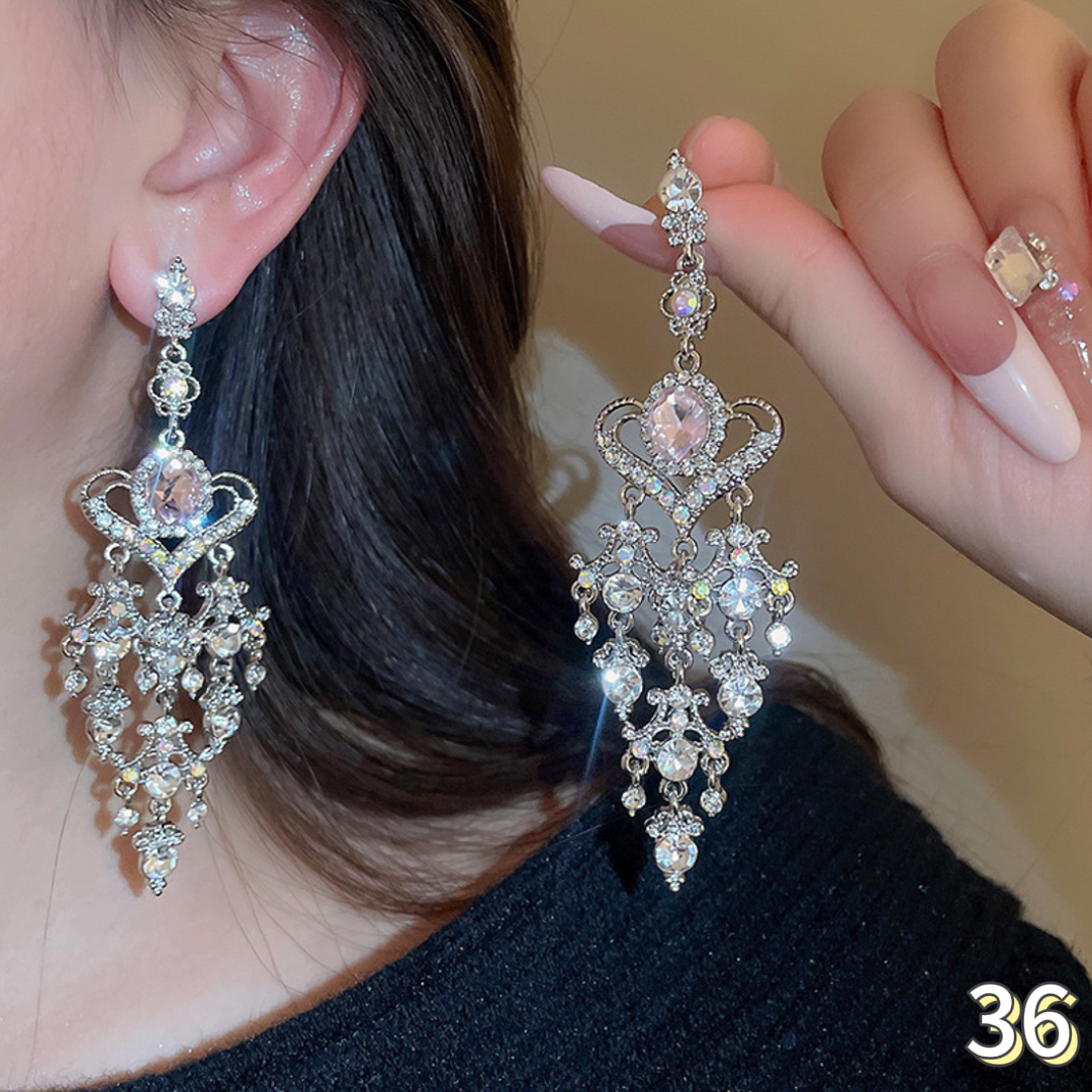 Exquisite Earrings
