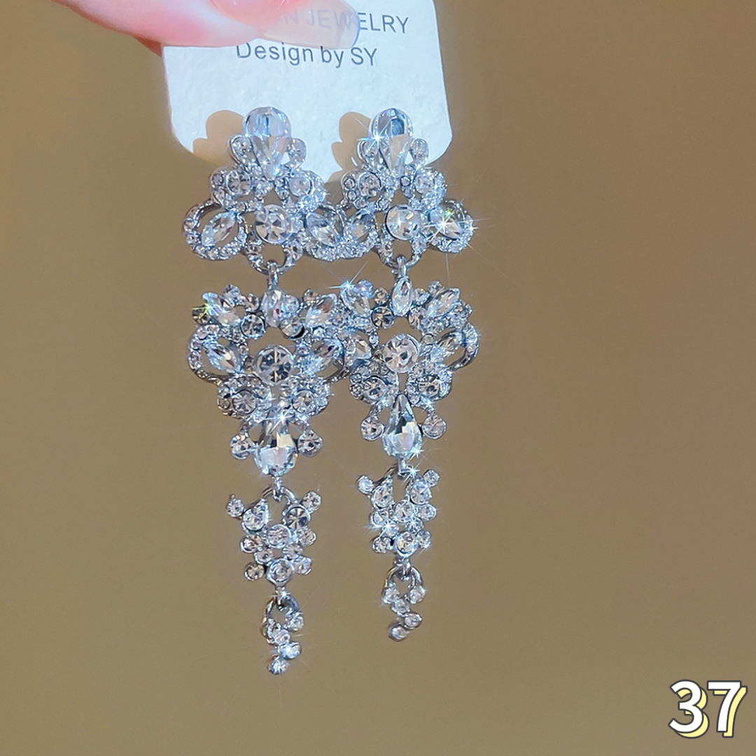 Exquisite Earrings