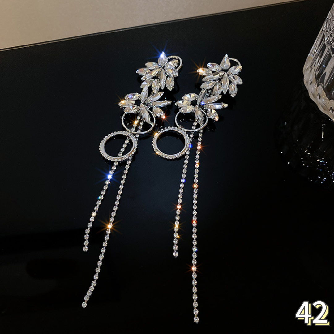 Exquisite Earrings