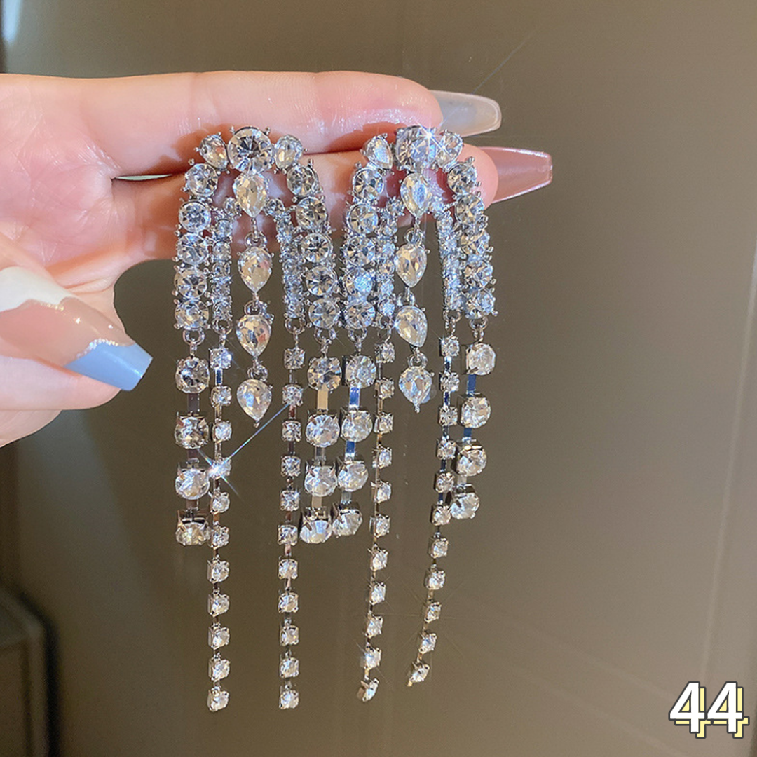 Exquisite Earrings