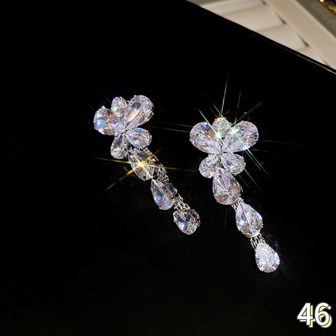 Exquisite Earrings