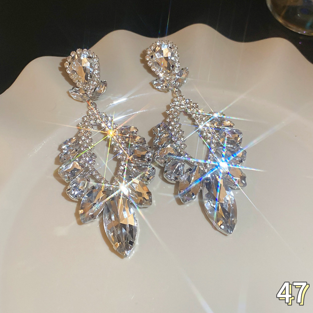 Exquisite Earrings