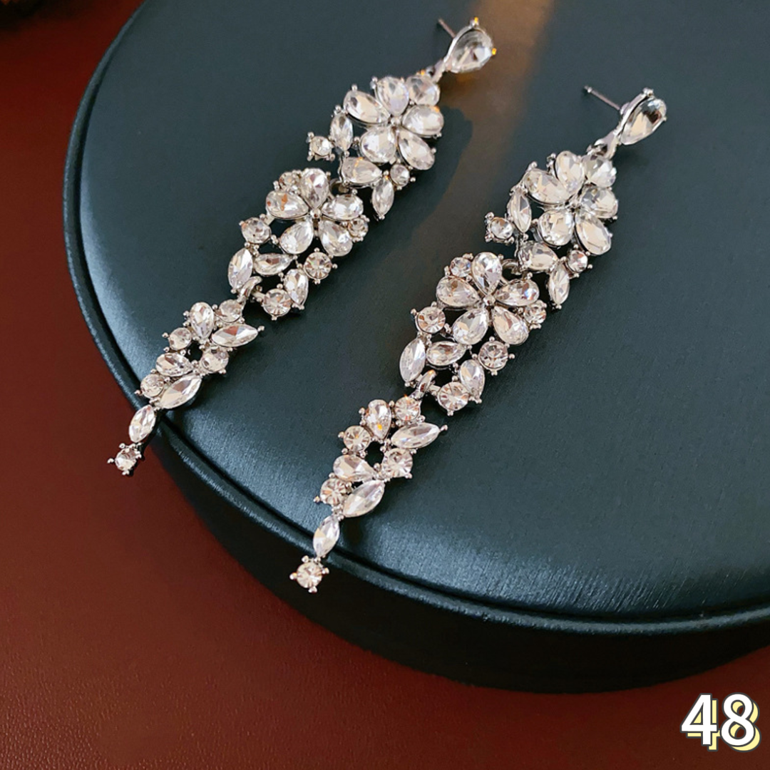 Exquisite Earrings