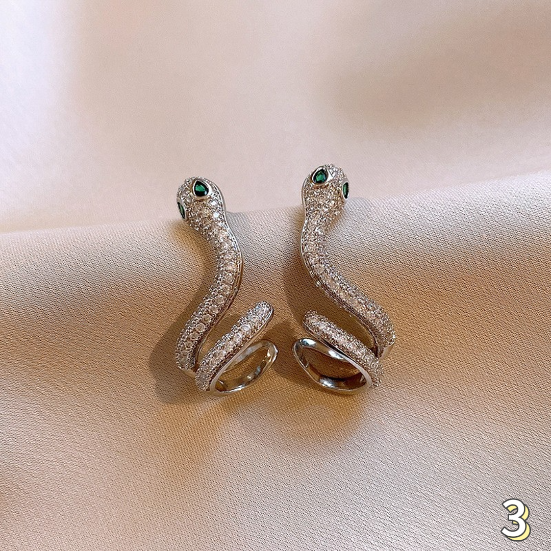 Premium  Earrings